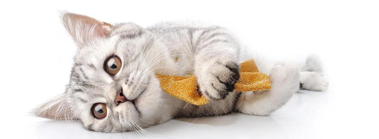 Jelentkezzen be fiókjába