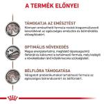 Támogasd a cicákat Royal Canin Veterinary Feline Gastrointestinal Kitten – mi megvesszük helyetted!
